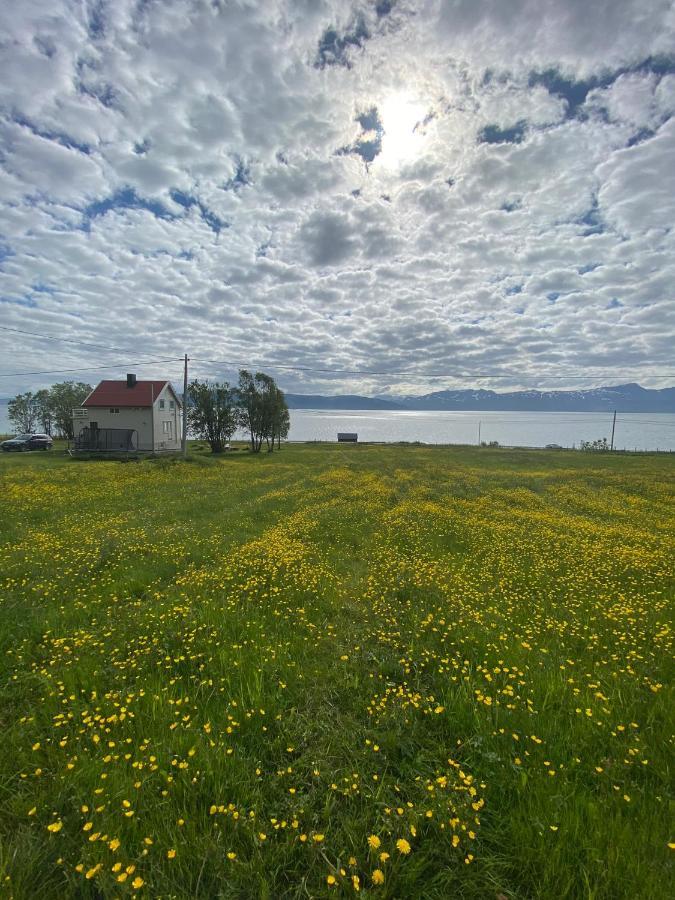 Unique And Charming Holiday Home With Fantastic Sea Views ترومسو المظهر الخارجي الصورة