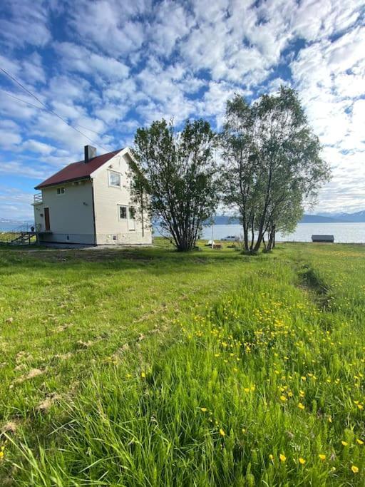 Unique And Charming Holiday Home With Fantastic Sea Views ترومسو المظهر الخارجي الصورة